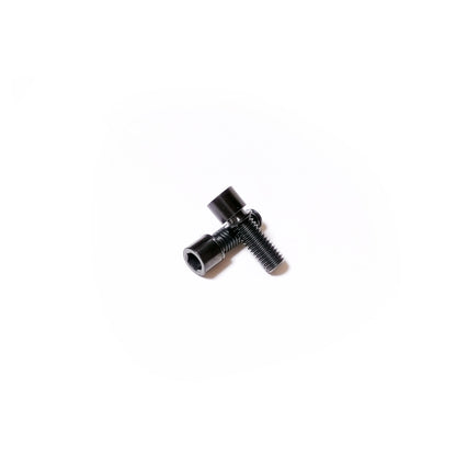 OKESA [P-SPEC] - Ti Stem Bolt (2pcs)