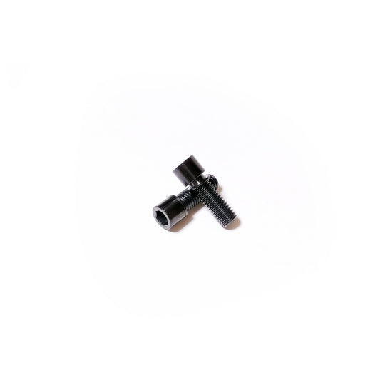OKESA [P-SPEC] - Ti Stem Bolt (2pcs)
