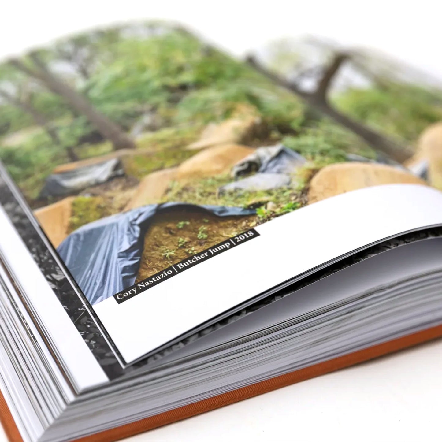 MAINTAIN - (Almost) 30Years Of Posh Woods Book