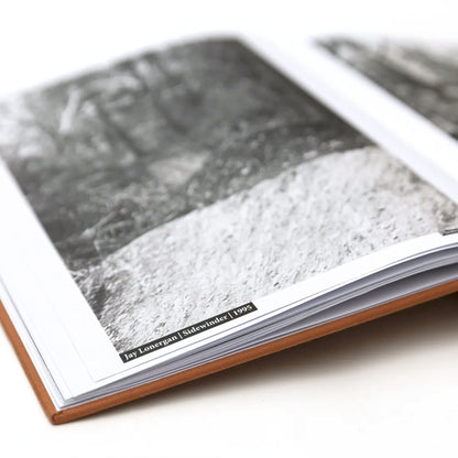 MAINTAIN - (Almost) 30Years Of Posh Woods Book