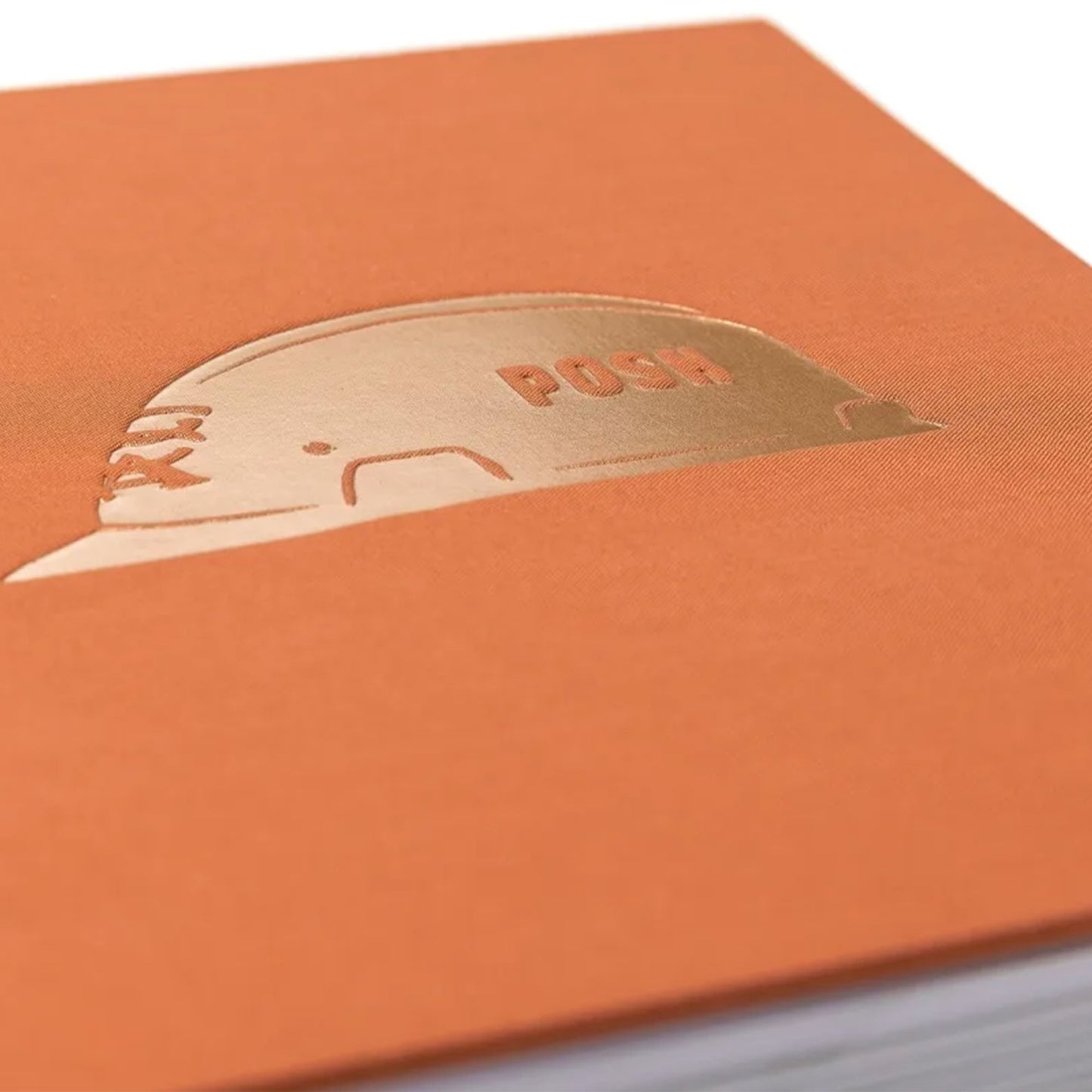 MAINTAIN - (Almost) 30Years Of Posh Woods Book