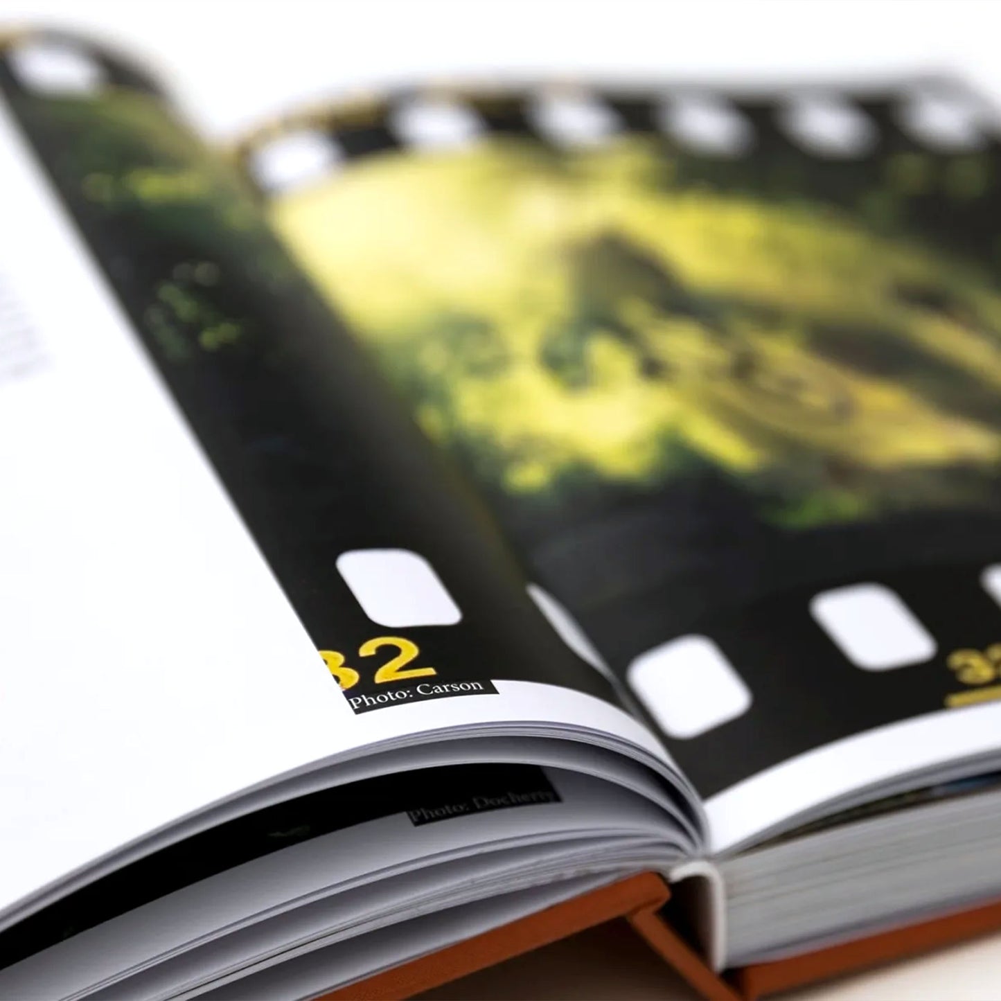MAINTAIN - (Almost) 30Years Of Posh Woods Book