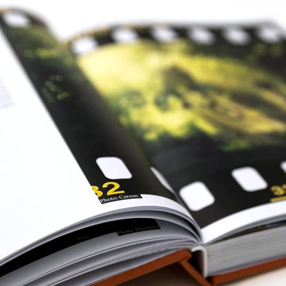 MAINTAIN - (Almost) 30Years Of Posh Woods Book