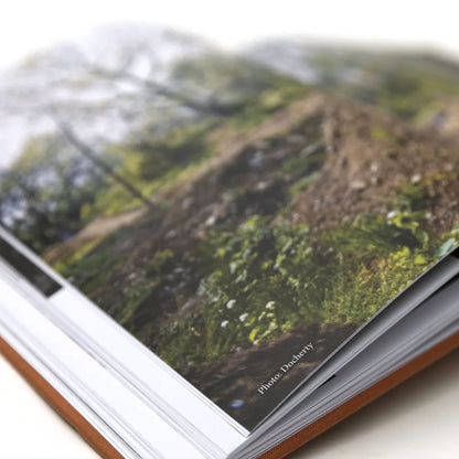 MAINTAIN - (Almost) 30Years Of Posh Woods Book