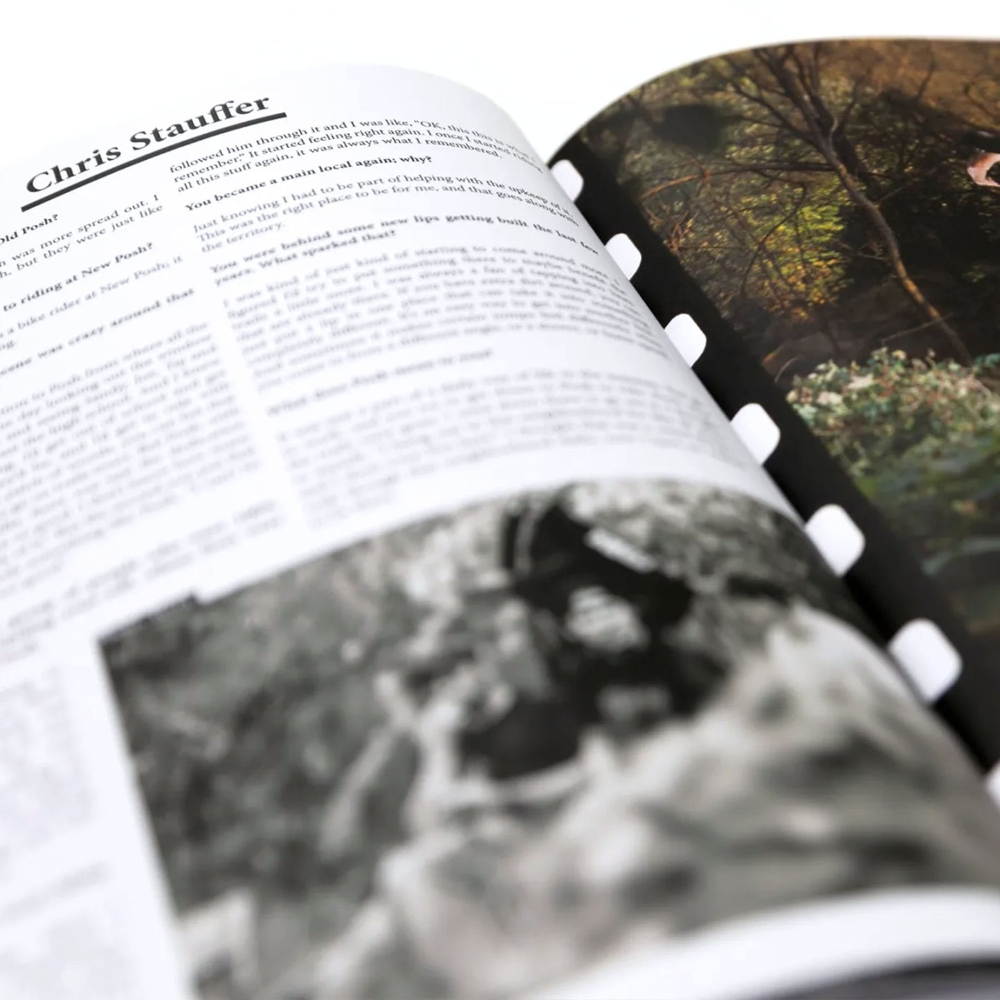MAINTAIN - (Almost) 30Years Of Posh Woods Book