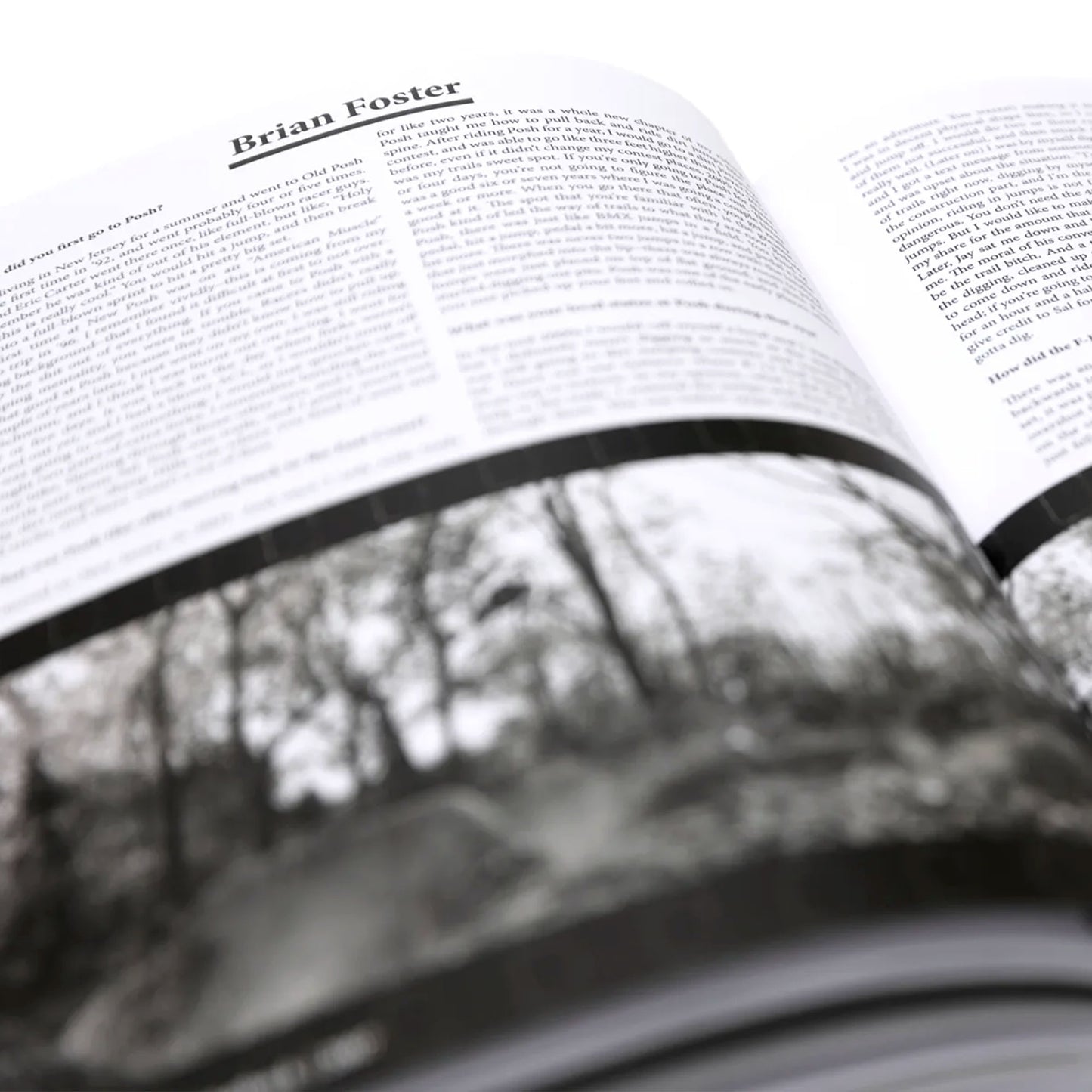 MAINTAIN - (Almost) 30Years Of Posh Woods Book