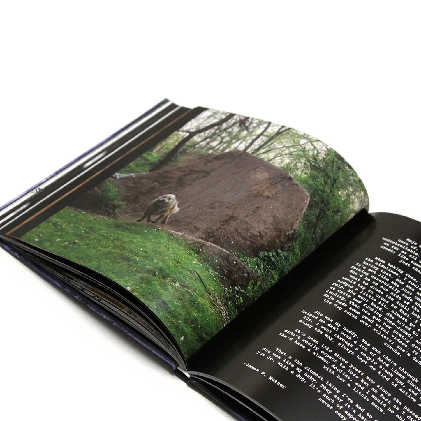 MAINTAIN - IV.V "DERAILED" Book & DVD