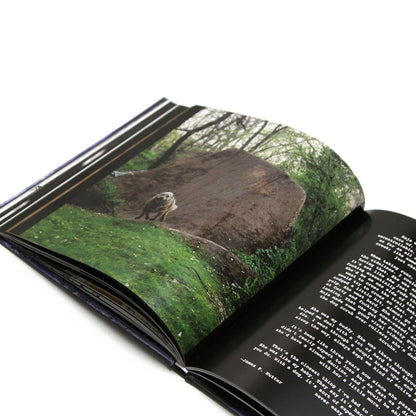 MAINTAIN - IV.V "DERAILED" Book & DVD